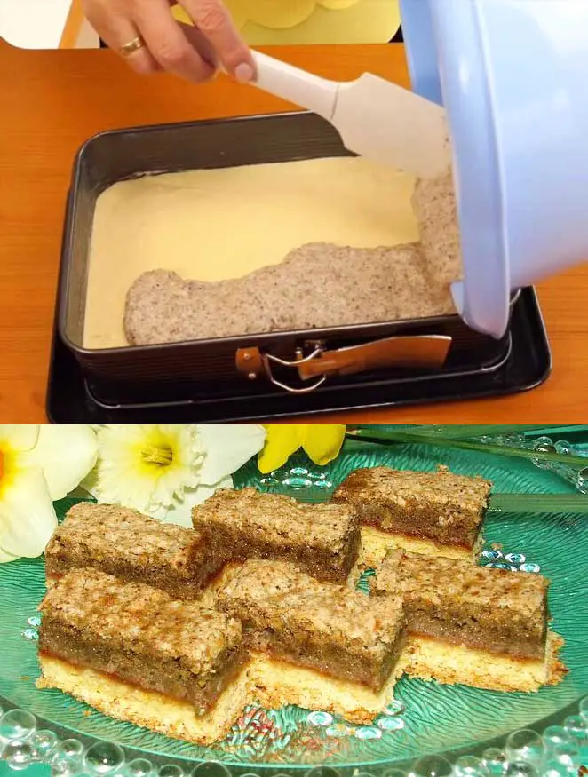 Nuss - Schnitten