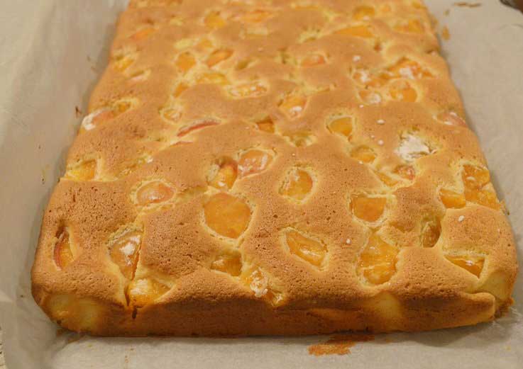 Aprikosenkuchen