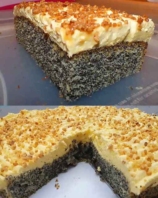 Mohnkuchen ohne Boden!