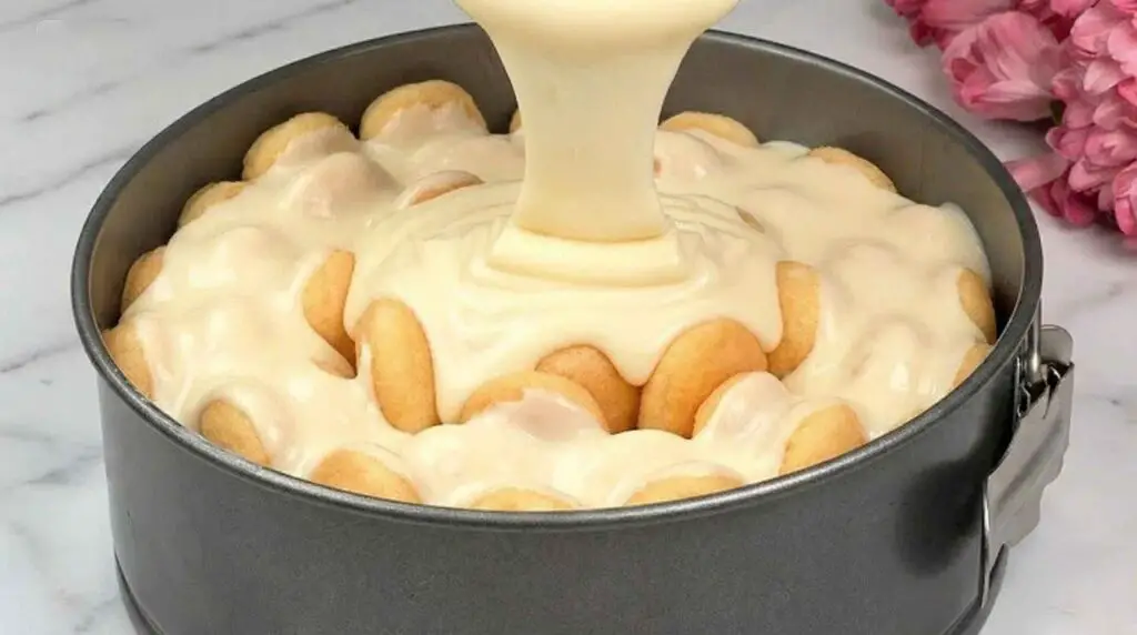 Löffelbiskuit-Vanillekuchen